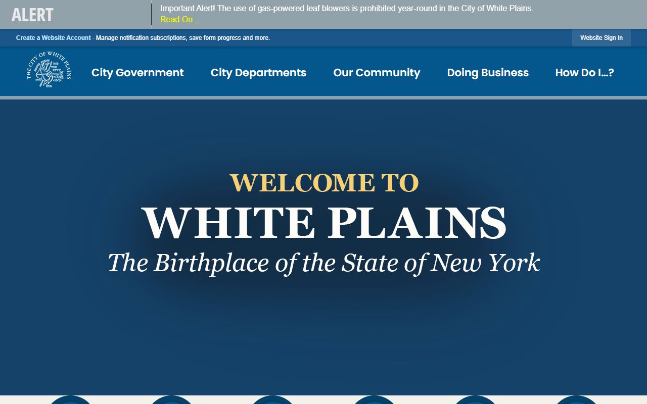 White Plains criminal history records